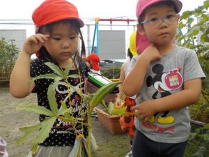 幼稚園の様子